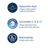 CeraVe Foaming Facial Cleanser for Normal to Oily Skin, 12 fl oz