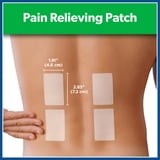 Salonpas Pain Relieving Patch, 60 Count (Pack of 1)