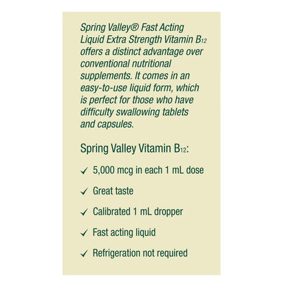 Spring Valley Vitamin B Complex Dietary Supplement with B12, Berry Flavor, 2 fl oz