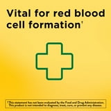 Nature Made Iron 65 mg Tablets, 365 ct.