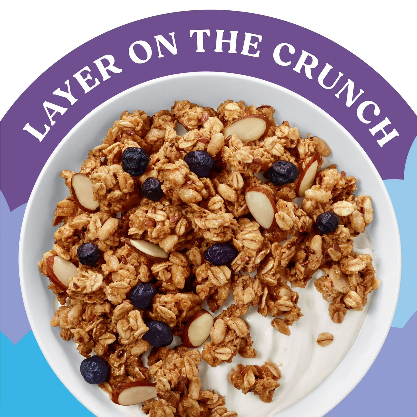 Kashi Gut Health Blueberry Almond Granola, Prebiotics and High Fiber Bag, 8 oz