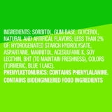 EXTRA Spearmint Sugar Free Chewing Gum, 15 Sticks per Pack, 8 Pack Bulk