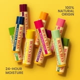 Burt's Bees 100% Natural Origin Lip Balm, Coconut & Pear and Mango, 2 Count