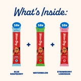 Waterboy Sugar Free Daily Hydration Electrolyte Drink Mix Variety Pack, 30 ct.