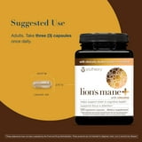 Youtheory Lion's Mane + Capsules, 120 ct.