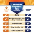 Member's Mark Nicotine Coated Gum, Choose your flavor, 300 ct.