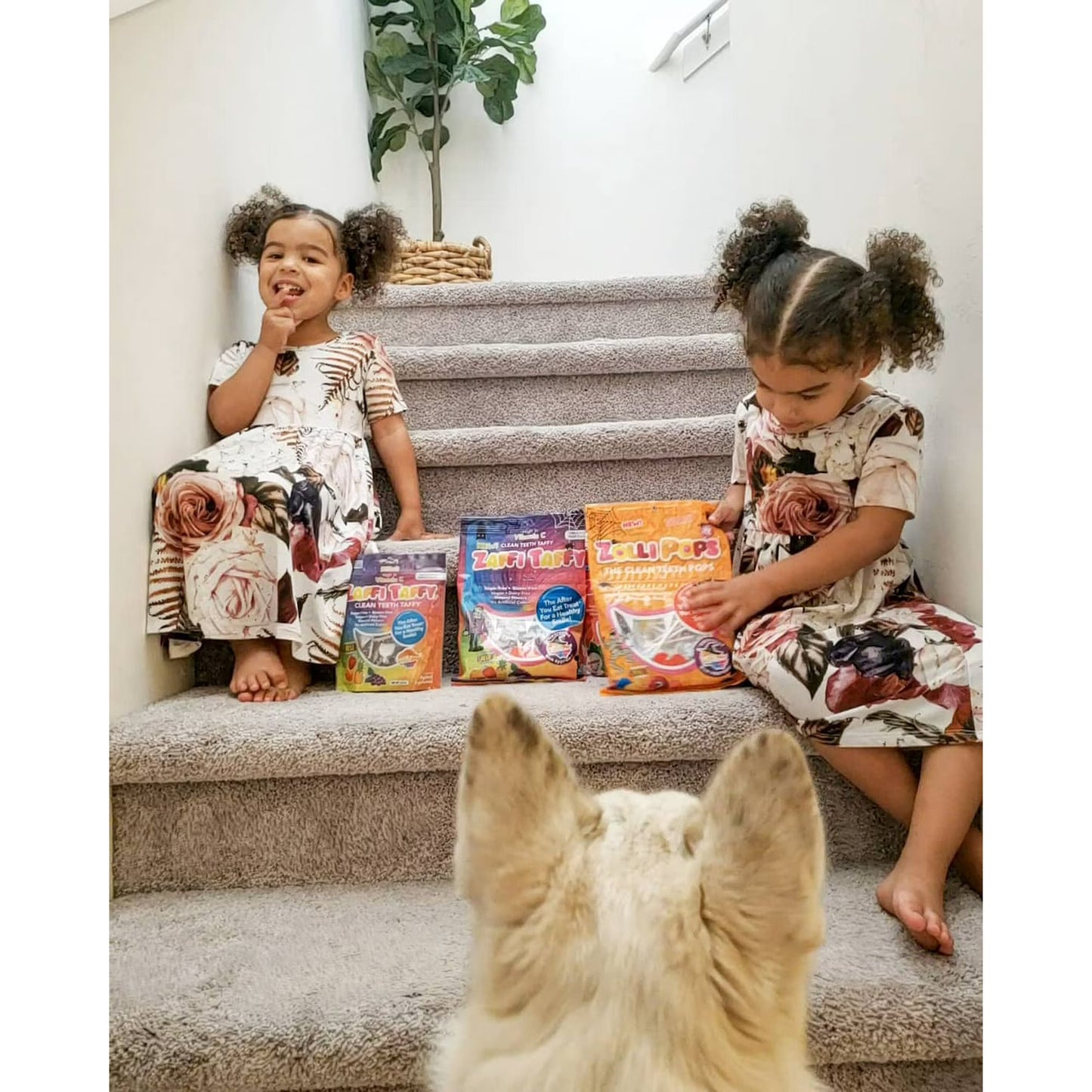 ZOLLIPOPS Lollipops, Sugar Free Candy, Allergen Free with Natural Fruit Flavor, Keto, Vegan 5.2 oz