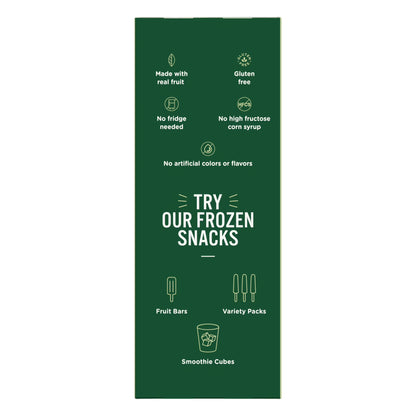 (3 pack) Outshine Fruit and Yogurt On the Go Smoothie Snacks, Peach Raspberry, 3.5 oz Pouches (4 Pack)