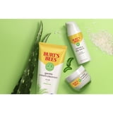 Burt's Bees Calming Day Face Lotion With Aloe and Rice Milk, 1.8 oz.