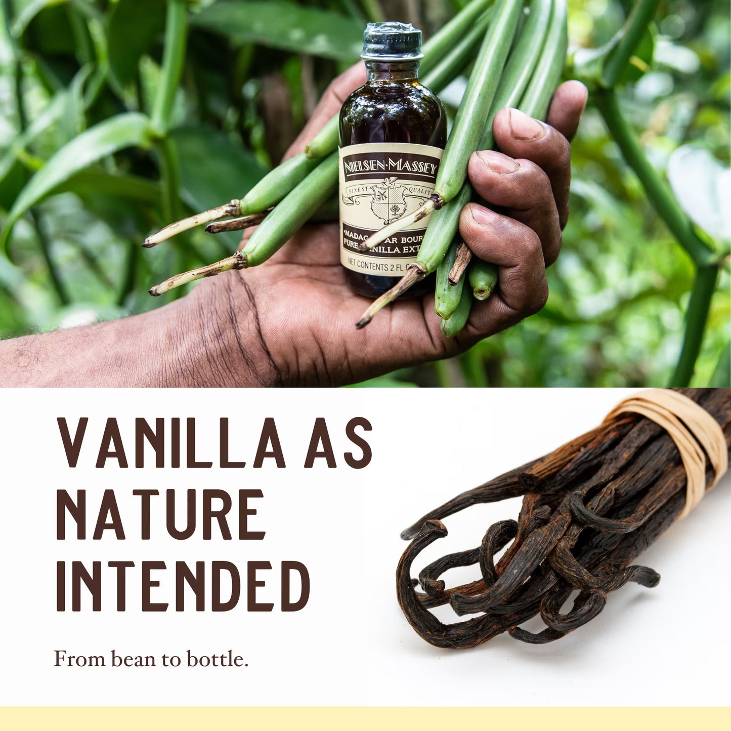 Nielsen-Massey Everyday Gourmet Pure Vanilla Extract, 2 oz – Premium Baking Vanilla for Cookies, Cakes & More