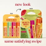 Burt's Bees Lip Balm Pack, Freshly Picked 4 Pack, 0.15 Ounce Tubes
