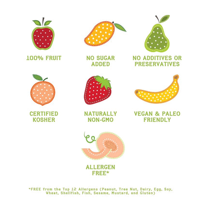 Nature's Turn Freeze-Dried Apple Cinnamon Crisps, No Added Sugar, Healthy Natural Fruit Crisp Snack for School Lunches, 6 Pack (1.2 oz Each)