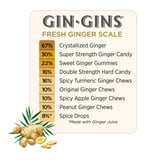 The Ginger People GIN GINS Double Strength Hard Ginger Candy - 1lb - Pack of 1