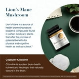 Youtheory Lion's Mane + Capsules, 120 ct.