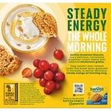 (3 pack) belVita Soft Baked Breakfast Bars, Banana Bread, 5 Packs (1 Biscuit Per Pack)