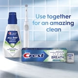 (2 pack) Crest Clean Breath Spearmint Toothpaste, 4.6 oz