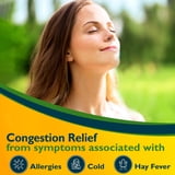 (2 pack) Benzedrex Nasal Decongestant Inhaler With Medicated Vapors