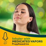(2 pack) Benzedrex Nasal Decongestant Inhaler With Medicated Vapors