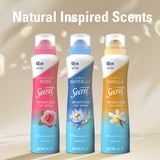 Secret Dry Spray Antiperspirant Deodorant, Vanilla and Argan Oil, 4.1 oz