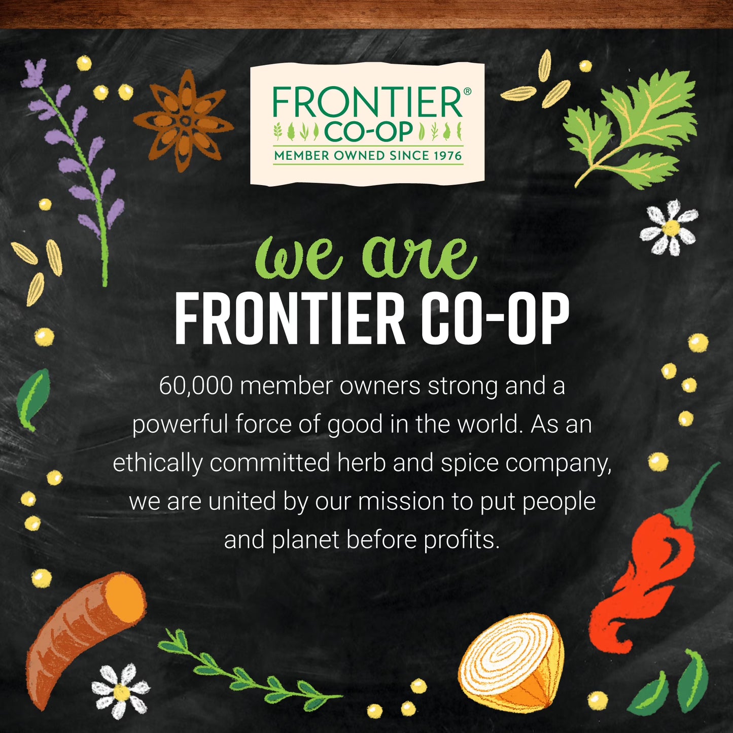 Frontier Co-op Fair Trade Certified Organic Ceylon Cinnamon Powder, 5.57 oz Bag