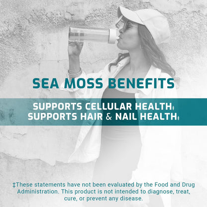 TruLabs Sea Moss Drink Mix Powder Pink Citrus and Dragon Fruit Lime 30 ct.
