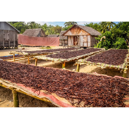 1/4 LB Organic Madagascar Vanilla Beans. Whole Grade A Vanilla Pods for Vanilla Extract and Baking - 4 Ounces