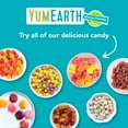 YumEarth Organic Lollipops, Vitamin C, Assorted Flavors, 8.5 oz, 40 Ct