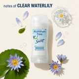 Secret Aluminum Free Deodorant, Clear Solid, Waterlily, 2.4 oz