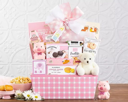 Wine Country Gift Baskets Welcome Home Baby Girl