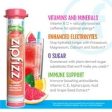 Zipfizz Energy Multi-Vitamin Hydration Drink Mix, Pink Grapefruit, 20 ct.
