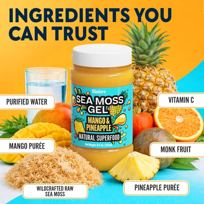 Biolore Superfood Natural Jam No Added Sugar | Mango Pineapple 8 oz | Jelly Spread with Sea Moss Gel & Fruit Purée | Vegan, GMO Free, Made in the USA