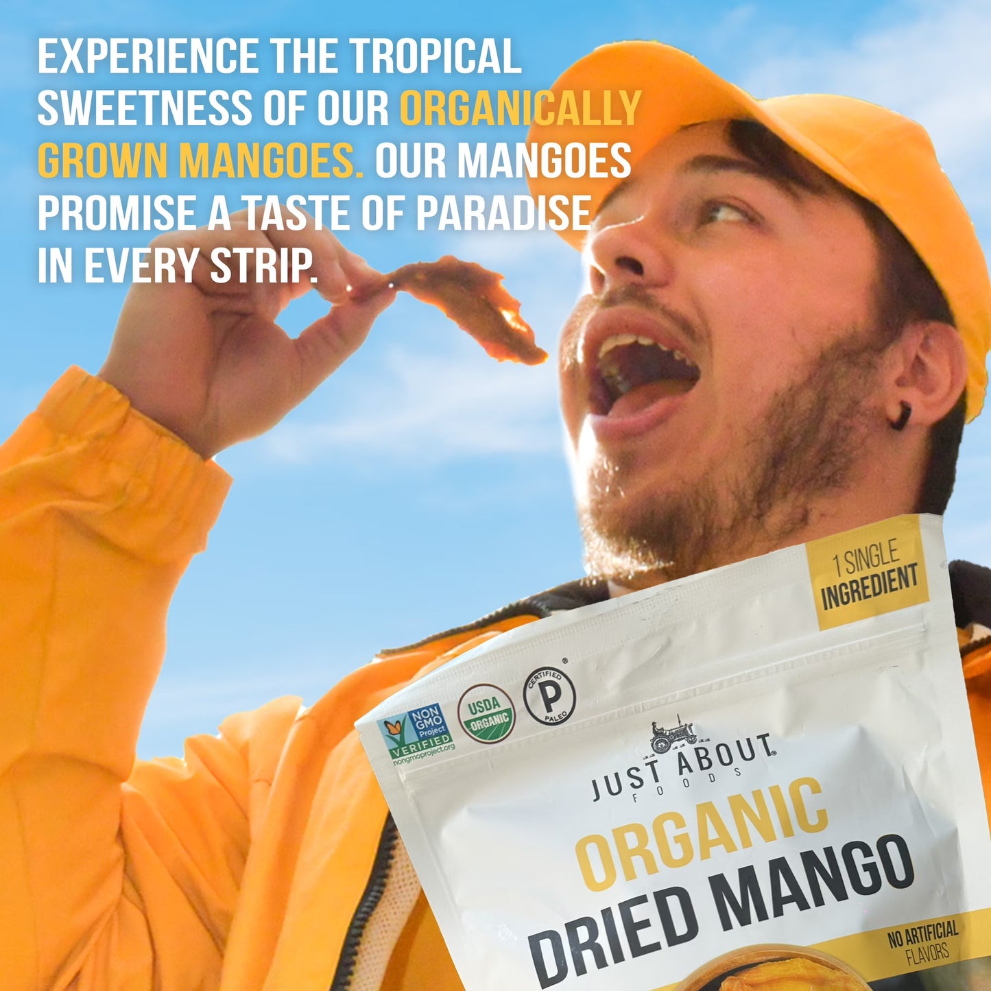 Just About Organic Dried Mango, Healthy Snack, 1 Lb