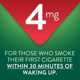 Member's Mark Nicotine Coated Gum, Choose your flavor, 300 ct.