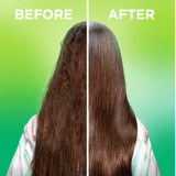 Garnier Fructis Sleek and Shine Leave In Conditioner with Argan Oil, 10.2 fl oz