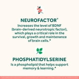 Neuriva Original Brain Health Supplement Capsules, 45 ct.