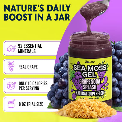 Biolore Grape Splash Sea Moss Gel, 8 oz – No Added Sugar, Vegan, Ready-to-Use Wildcrafted Sea Moss Gel with Monk Fruit, Smoothie & Food Add-In