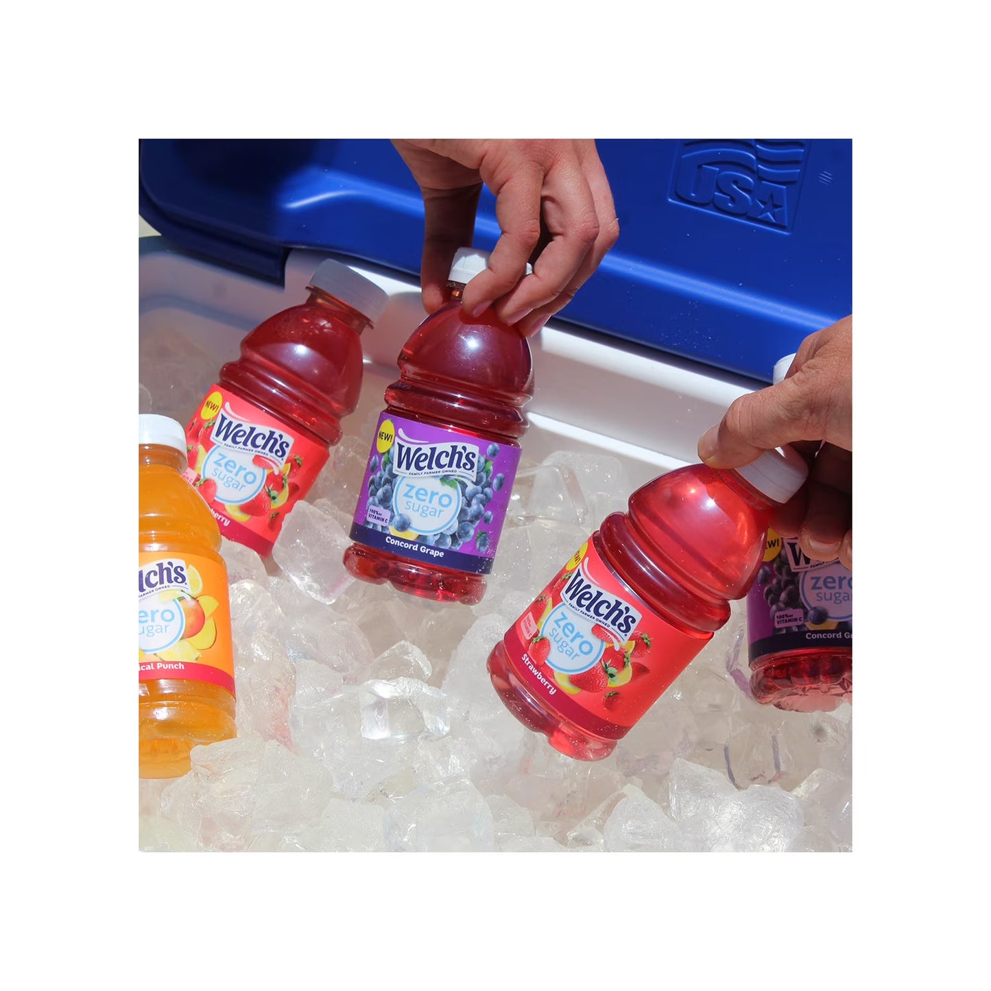 Welch's Strawberry Zero Sugar Drink, 10 fl oz Bottle