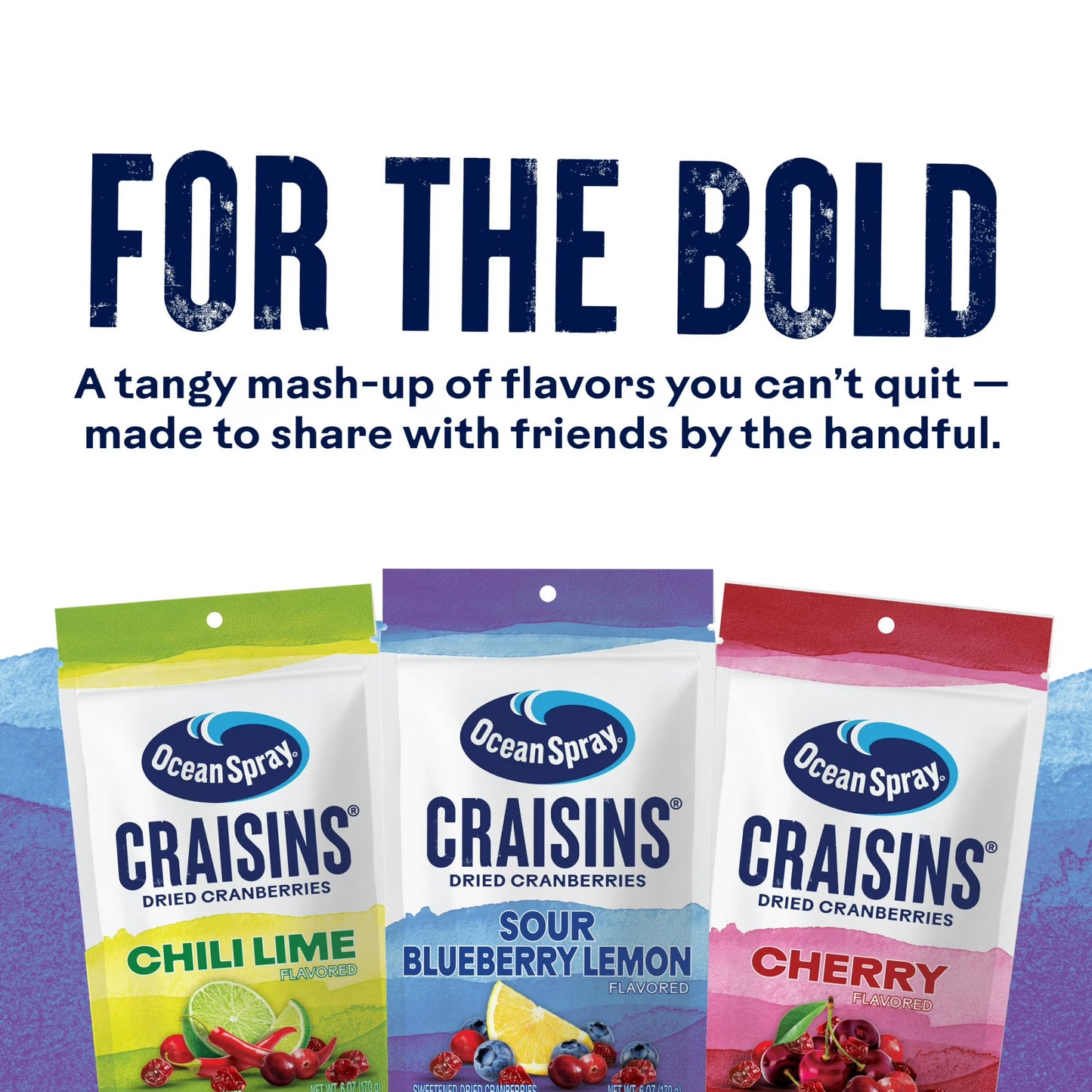 Ocean Spray Sour Blueberry Lemon Flavored Craisins Dried Cranberries, 6oz