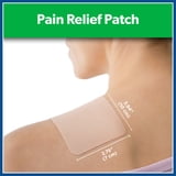 Salonpas Pain Relief Patch, 20 Count (Pack of 1)