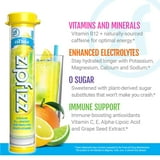 Zipfizz Energy Multi-Vitamin Hydration Drink Mix, Citrus, 20 ct.