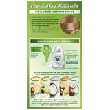 Garnier Nutrisse Nourishing Hair Color Creme, 080 Medium Natural Blonde Butternut