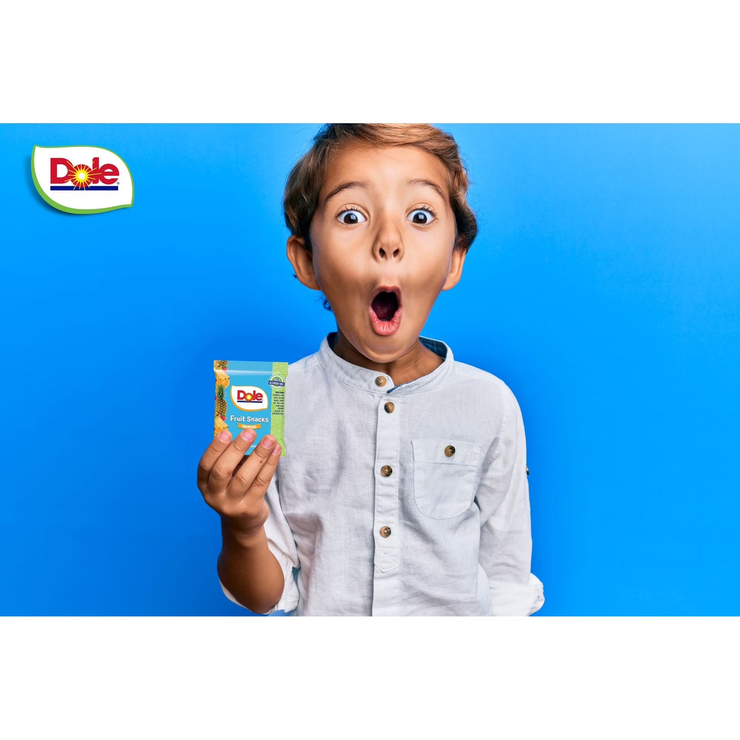 Dole Fruit Snacks, Mixed Berries Flavored, Big 9 Allergen Free, Dye Free, Gluten Free, Gelatin Free, Lunch Snacks 22 Count