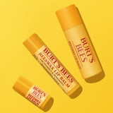 (2 pack) Burt's Bees 100% Natural Origin Moisturizing Beeswax Lip Balm, Peppermint, 1-Pack, 0.15 oz