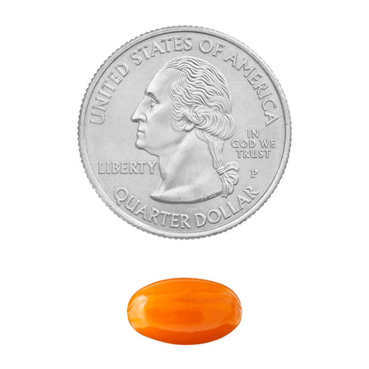 Spring Valley Rapid-Release CoQ10 Heart Health Dietary Supplement Softgels, 100 mg, 120 Count