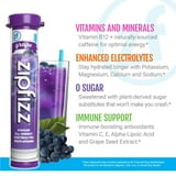 Zipfizz Energy Multi-Vitamin Hydration Drink Mix, Combo Pack, 30 ct.